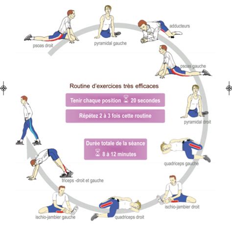 Exemple D Une Routine D Tirements Apr S Efforts