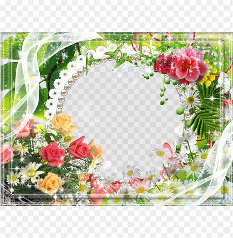 Flower Border Frame Png Transpa Background Infoupdate Org