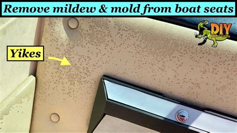 Remove Mildew Mold Stains From Boat Seats Best Product Youtube