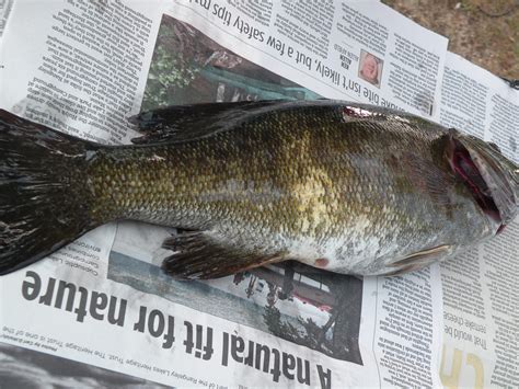 Kid fishing on Sebago Lake Maine. Any hot spots?i - The Hull Truth ...