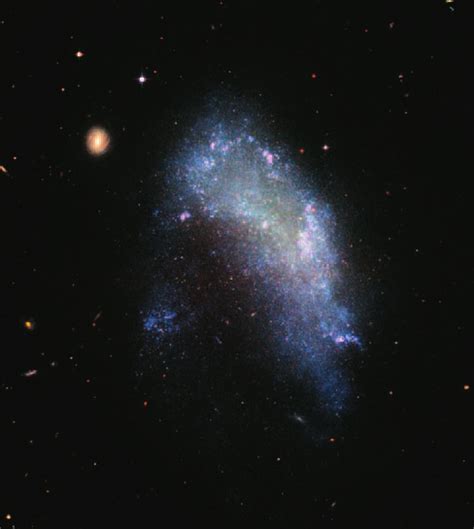 NGC 1427A, a dwarf galaxy in the Fornax cluster. Photo: NASA, ESA, and... | Download Scientific ...