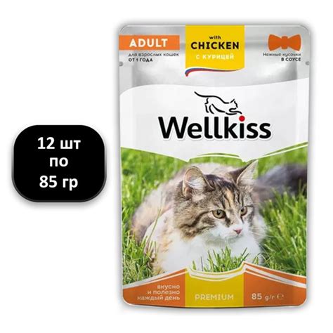 (12 ШТ.) 85 гр., Wellkiss, Adult, Влажный корм (пауч), для взрослых ...