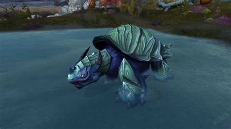 Razorshell Turtle Npc World Of Warcraft