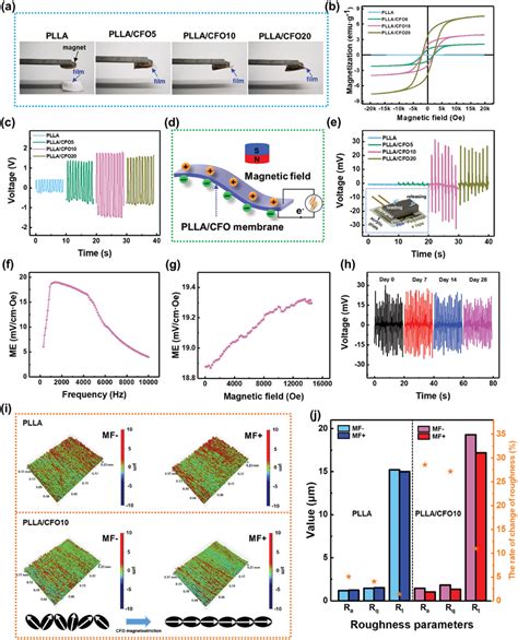 Magnetic Piezoelectric And Magnetoelectric Performances Of The