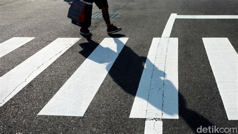 Zebra Cross Sejarah Fungsi Serta Aturan Pemasangan Dan Penggunaannya