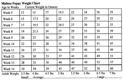 25+ Great Pyrenees Puppy Weight Chart Picture - Codepromos