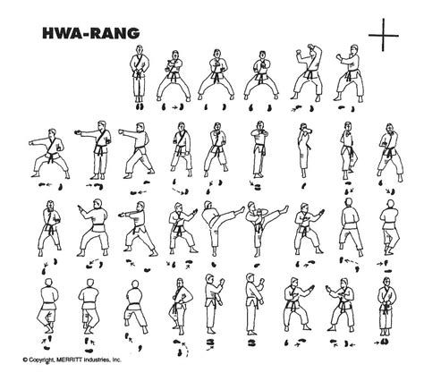 Hwa Rang Academy Of Martial Arts Martial Arts Taekwondo