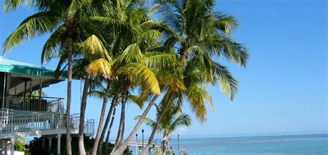 Best Places To Stay In Islamorada United States Of America The Hotel