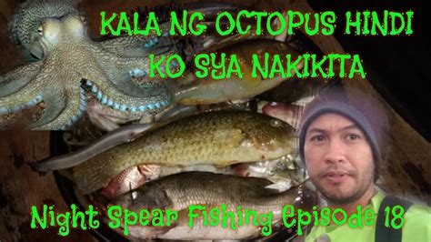 Night Spear Fishing Episode 18 YouTube