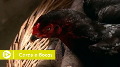 A Grande Família A Galinha de macumba Congelado em Caras e Bocas