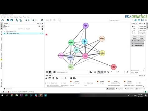 بیوانفورماتیک - آموزش نرم افزار Cytoscape - جلسه ۴ - YouTube