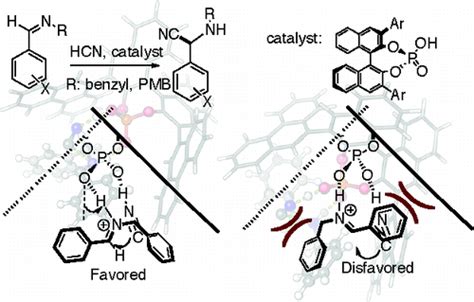 Binol 磷酸催化苄亚胺strecker反应的机理journal Of The American Chemical Society X Mol