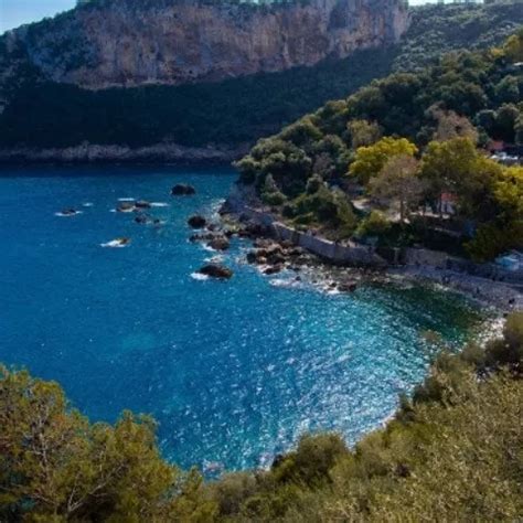 Great Algerian Zeb Gay Amateur Amateur Porn XHamster