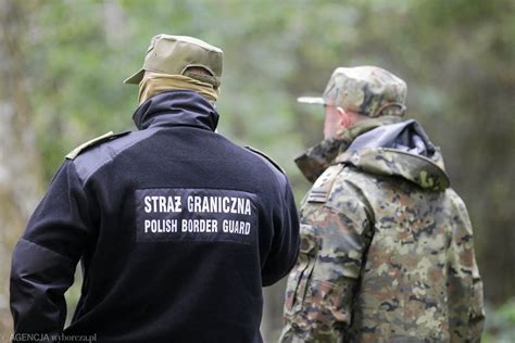 Dolny Śląsk Wspólne akcje Straży Granicznej i niemieckiej policji