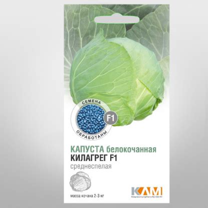 Семена капусты купить в Минске, почтой по Беларуси
