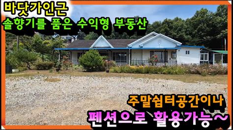 매물 664 당진토지 당진전원주택 이안부동산 바닷가인근 솔향기를품은 수익형 부동산 Youtube