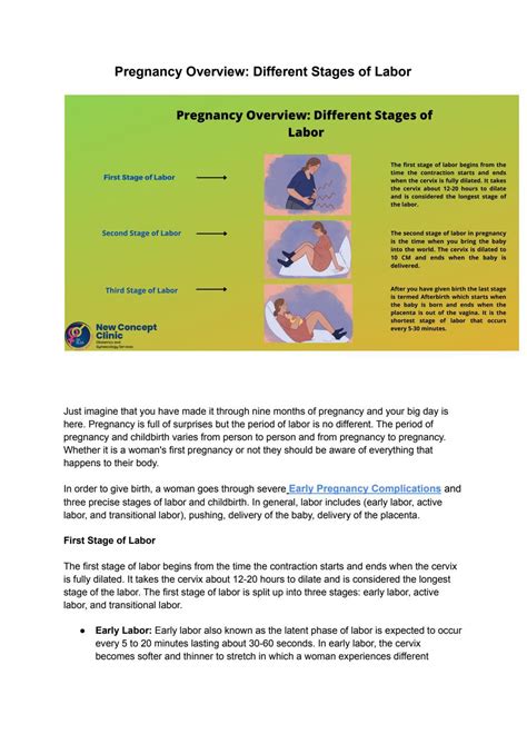 Pregnancy Overview: Different Stages of Labor by Drelsa Menezes - Issuu