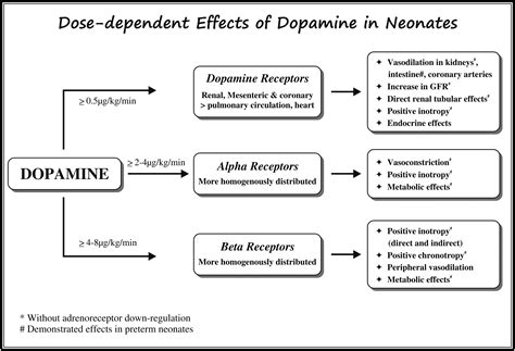 Neonatal Hypotension Dopamine Or Dobutamine Seminars In Fetal And