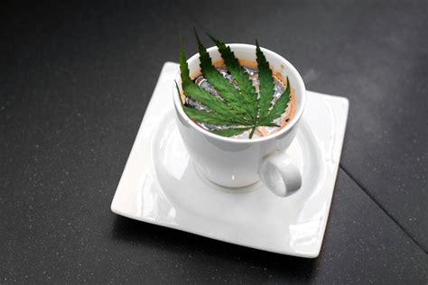 California Just Approved Amsterdam Style Cannabis Cafes