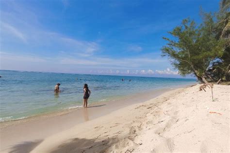 Isla De Lobos En Veracruz Qu Hacer Y Costos En