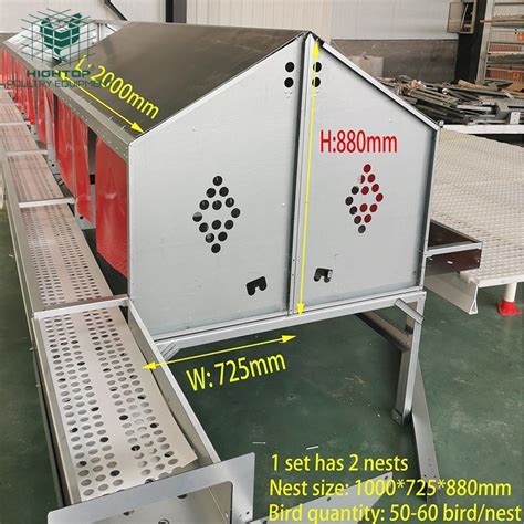 Hightop Poultry Broilers Layers Breeders Rearing Automatic Flat Chain