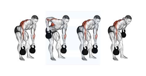 Dumbbell Bent Over Row Guide Benefits And Form