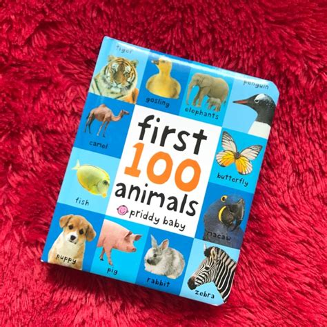 Jual First 100 Animals By Priddy Books Shopee Indonesia