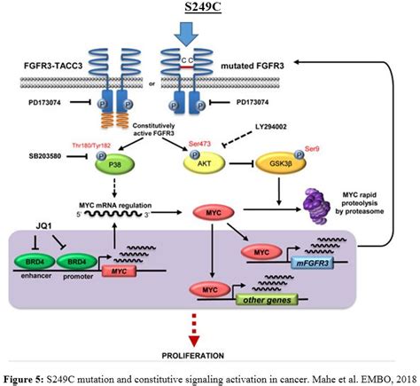 Diagnosis And Discussion Case 1090 Department Of Pathology