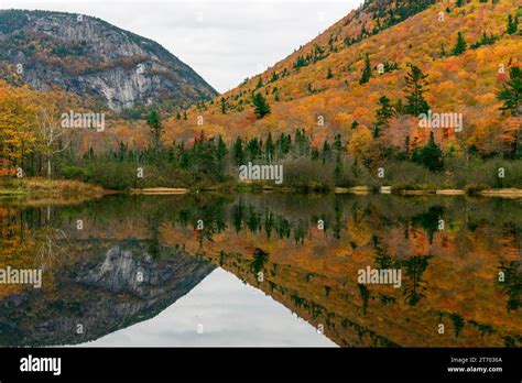 Rocky mountain and fall foliage in the White Mountains Stock Photo - Alamy