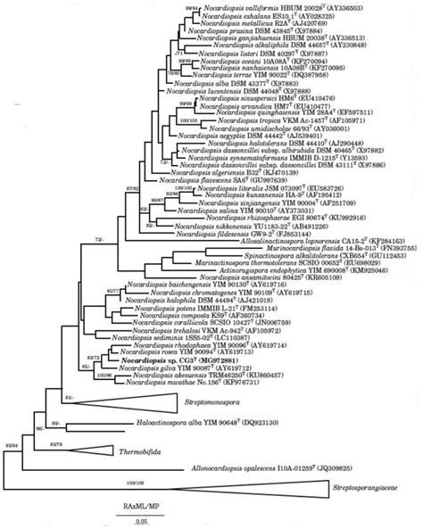 Maximum Parsimony Phylogenetic Tree 26 Based On Almost Complete 16s