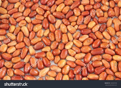 Elaeagnus Stock Photo Edit Now 160339193