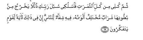 Quran Surat An Nahl Ayat 97 Surah An Nahl Verse 69