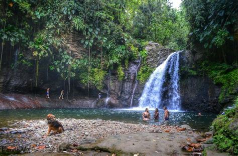 Le saut de la lézarde à petit bourg Guadeloupe Island vibes Island