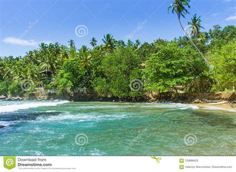 Playa Tropical Mirissa En Sri Imagen De Archivo Imagen De Sunlight