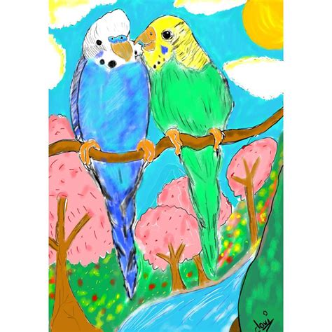 Budgie By Davicu On Deviantart