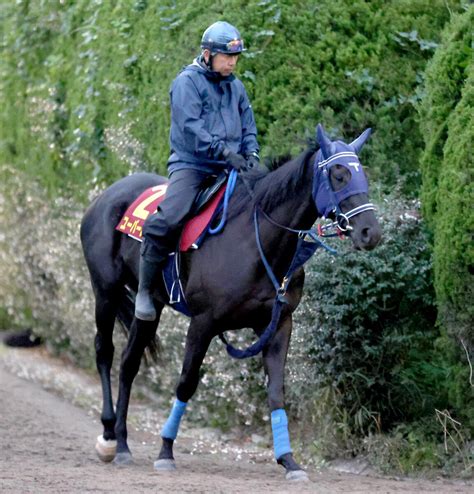 【秋華賞】オークス馬ユーバーレーベンは6枠11番 手塚師「極端な枠じゃなければ」 Umatoku 馬トク