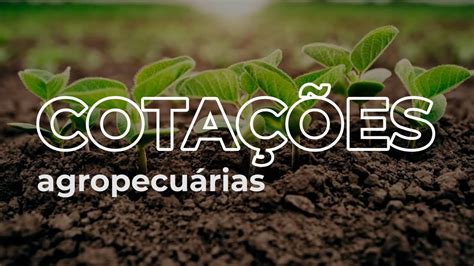 Cotações Agropecuárias 01 09 2021 YouTube