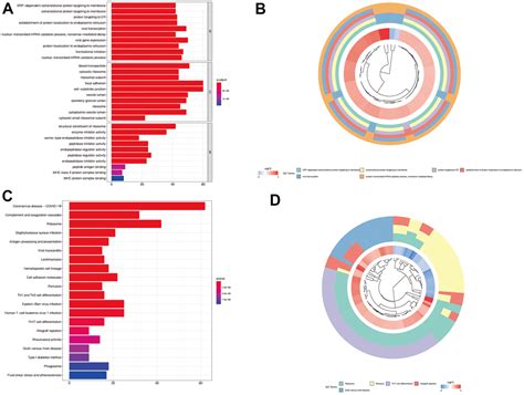 An Immune Subtype Related Prognostic Signature Of Hepatocellular