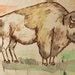 Buffalo Wood Burning Bison Wood Burning Pyrography Painted Wood