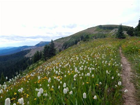 11 Terrific Day Hikes in Durango, CO - Uncover Colorado