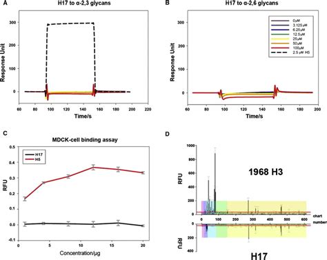 H17 Protein Does Not Bind to Canonical SA Receptors | Download ...