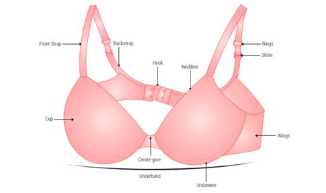 Learn The Subtle Art Of Step By Step Deconstructing A Bra Clovia