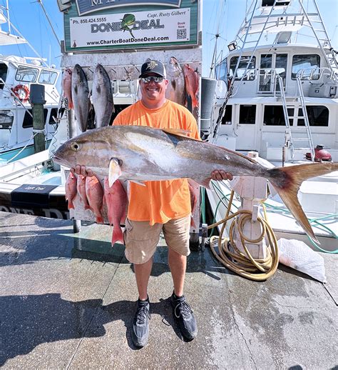 Vermilion Snapper Your Ultimate Guide To This Extraordinary Fish