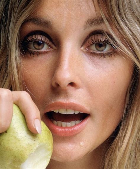 Pin By 🎧🩰🦢🕯 On Sharon Tate Sharon Tate Makeup Sharon Tate Makeup Looks