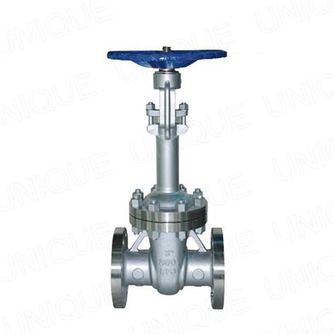 China Extended Bonnet Gate Valve Extended Stemcssswcbcf8cf3cf8m