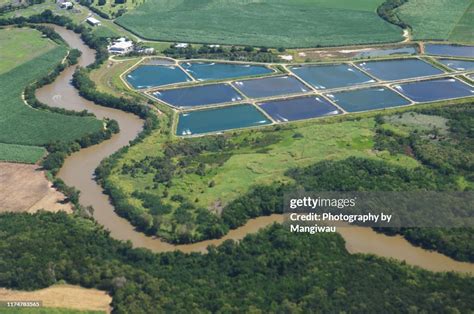 Australian Aquaculture High Res Stock Photo Getty Images