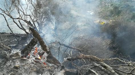 Un Total De 248 Hectáreas Se Han Quemado Hasta Junio En 26 Incendios