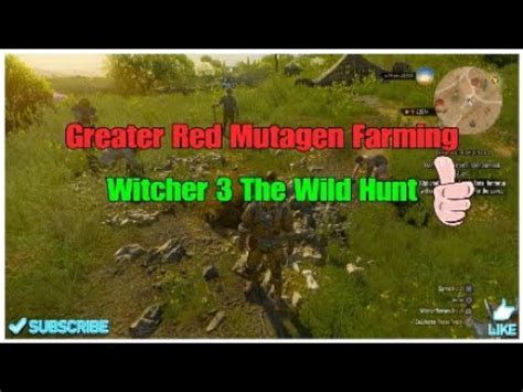 Witcher The Wild Hunt Greater Red Mutagen Farming Youtube