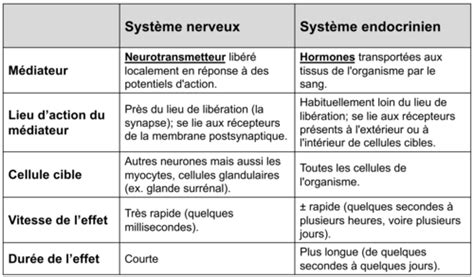 11 Système endocrinien Karteikarten Quizlet