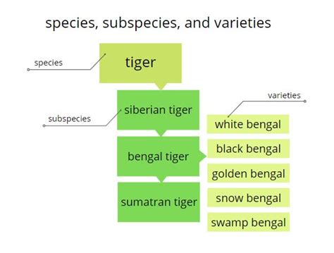 Difference Between Varieties And Subspecies The Simple Guide